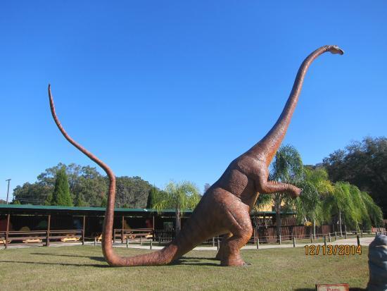 Dinosaur World